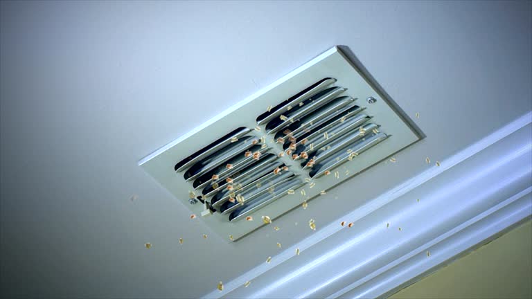 Best Dryer Vent Cleaning Services  in Grizzly Flats, CA