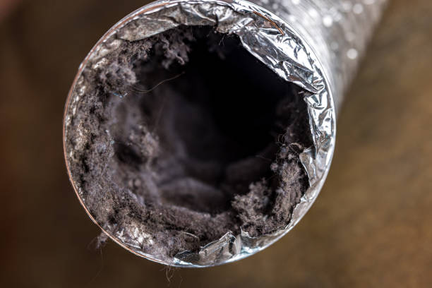 Best Air Duct Cleaning Near Me  in Grizzly Flats, CA