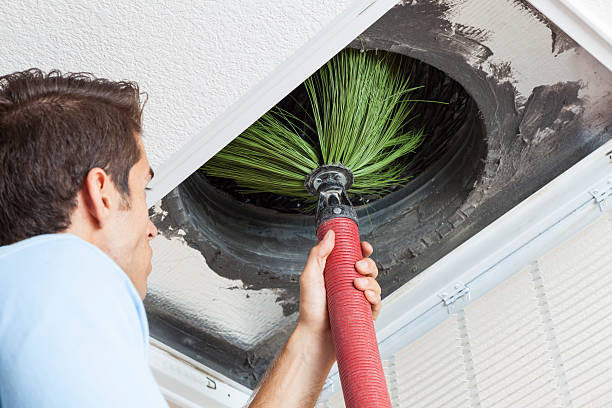 Best Air Duct Cleaning Company Near Me  in Grizzly Flats, CA